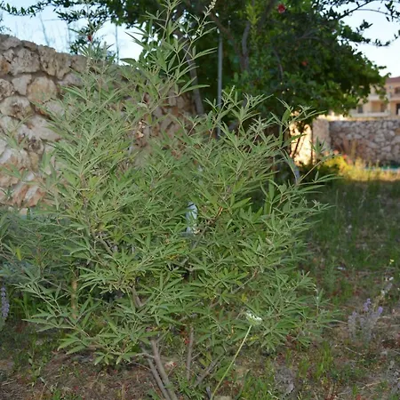 Lotus Sea View 2 Διαμέρισμα Ληξούρι